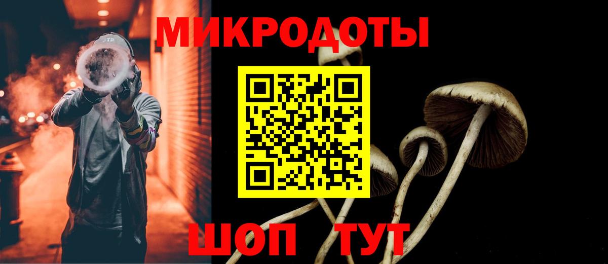 Галлюциногенные грибы GOLDEN TEACHER Туапсе