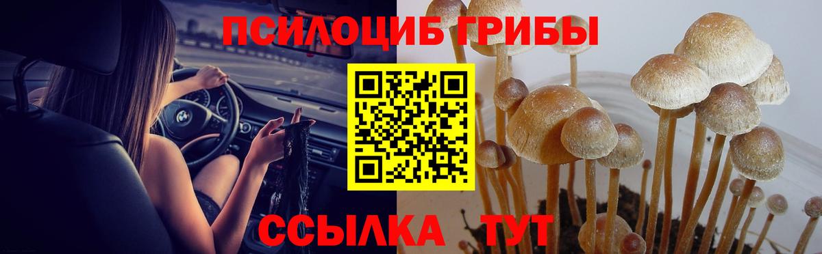 Галлюциногенные грибы мухоморы  Вход с VPN  Туапсе  Псилоцибиновые грибы Magic Shrooms 